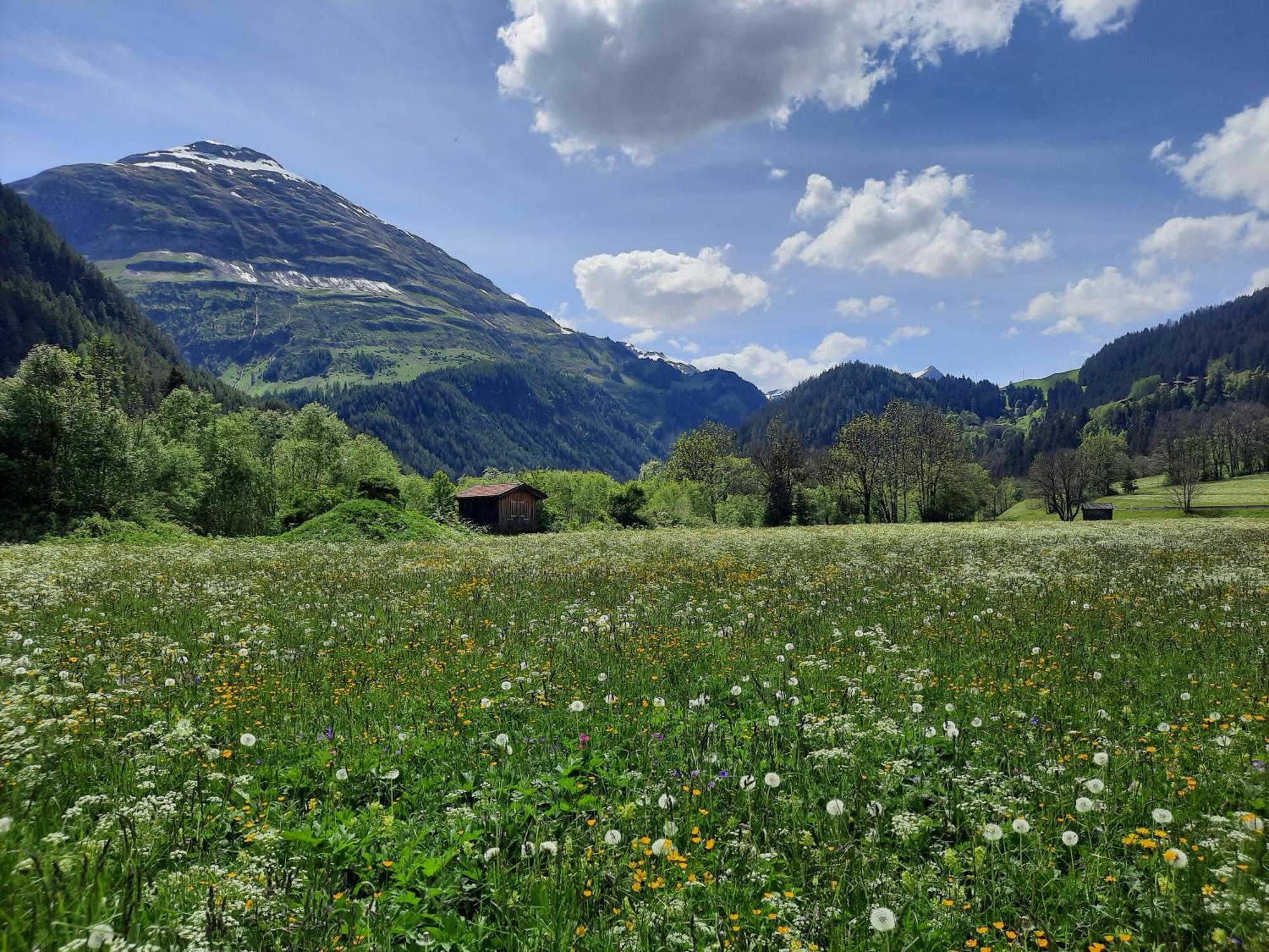 Bergmahd Hotel